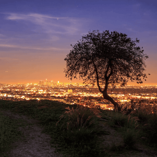 Laurel Canyon Travel Guide - A Day in Hidden in the Hillside