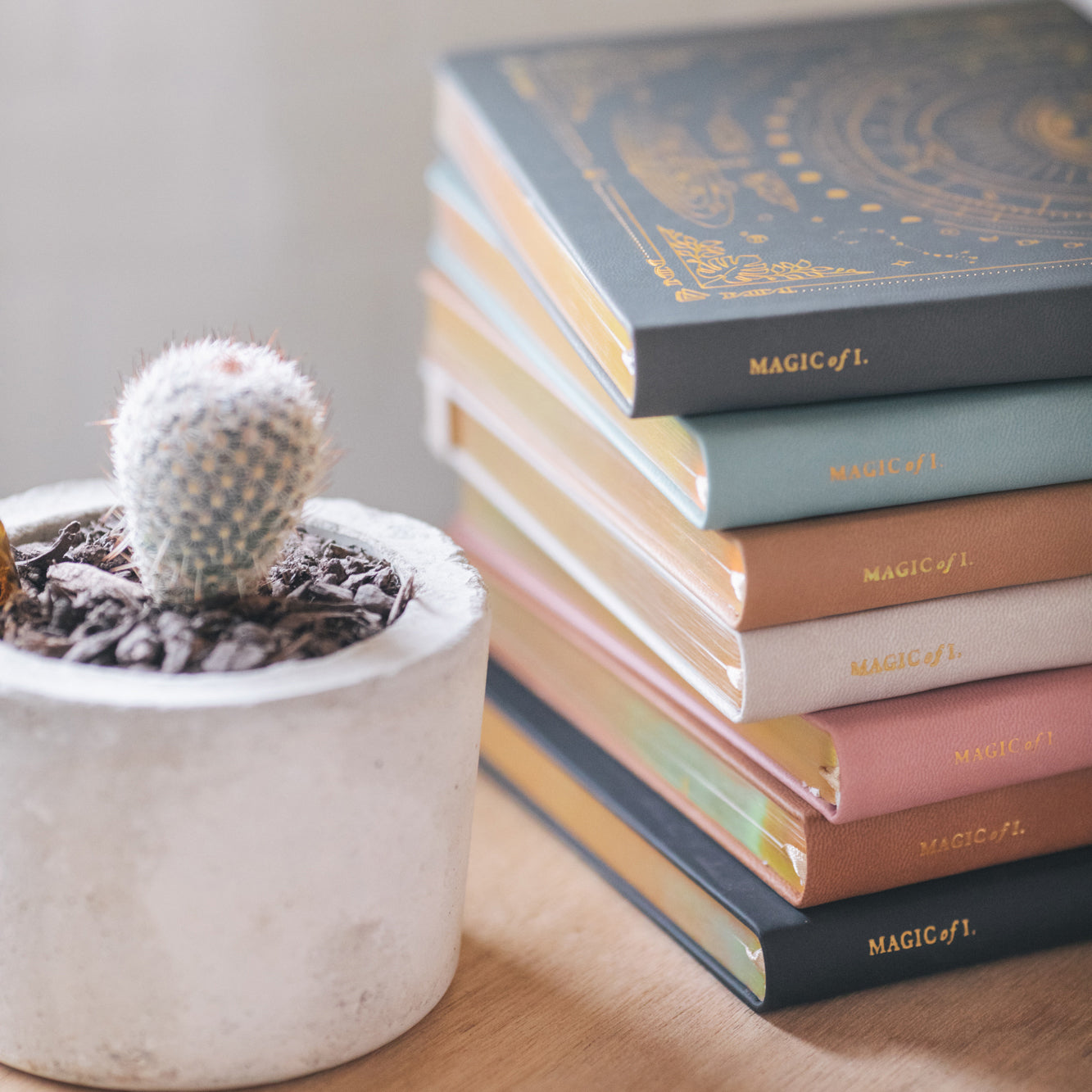 Stone Vegan Leather Unlined Journal
