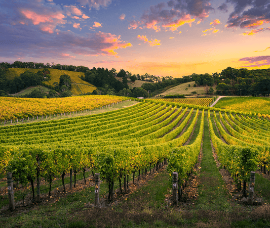 Paso Robles Travel Guide - A Day in Majestic Wine Country